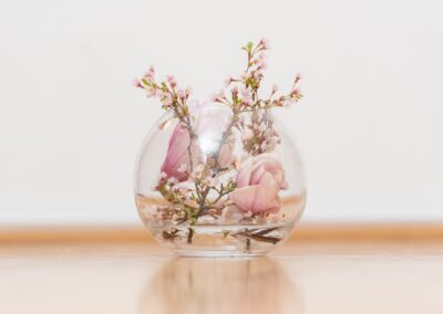 Consetetur sadipscing elitr