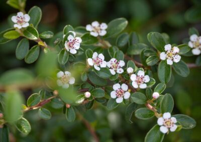 Lorem ipsum dolor sit amet